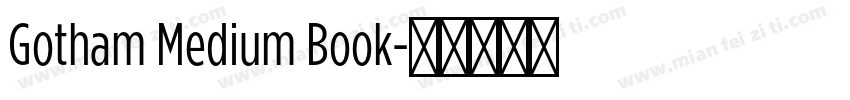 Gotham Medium Book字体转换